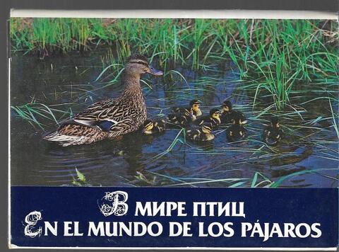 В мире птиц