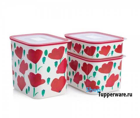 Набор акваконролей Маки tupperware