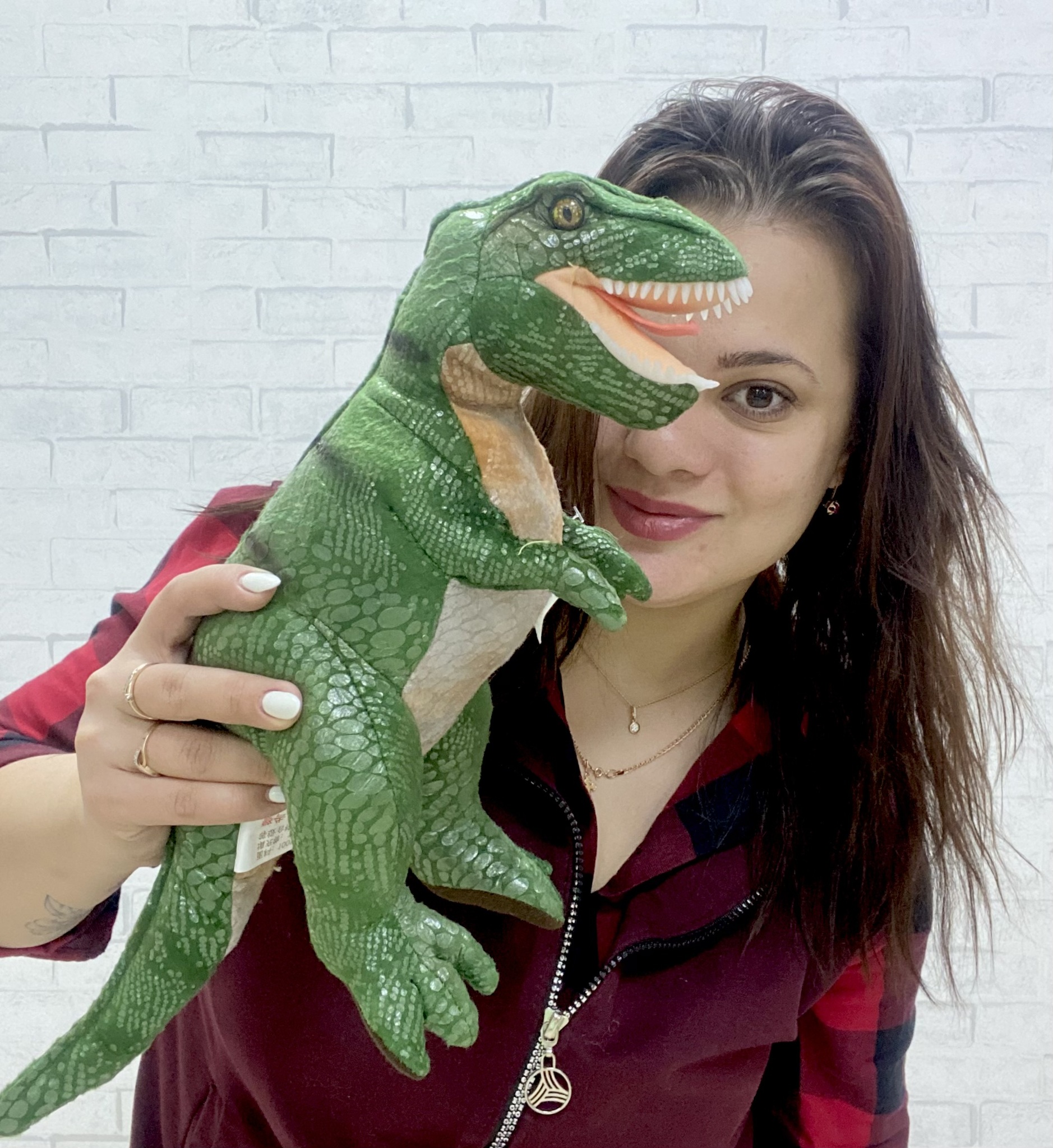 Мягкие игрушки Динозавры купить оптом в Москве - Томато