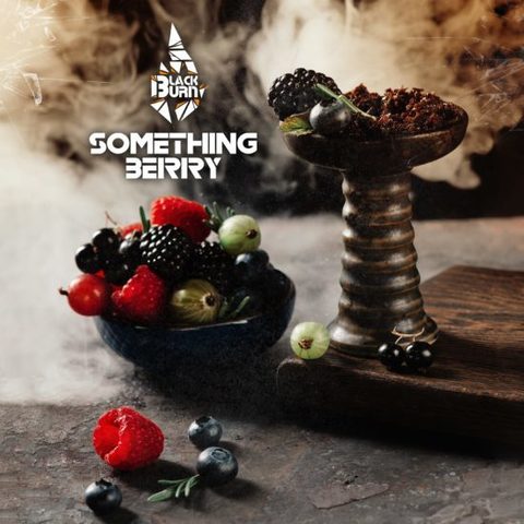 Табак Black Burn Something Berry (Что-то ягодное) 200г