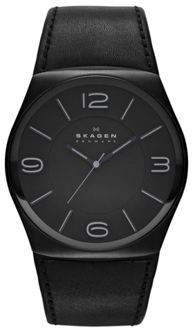 Наручные часы Skagen SKW6043 фото