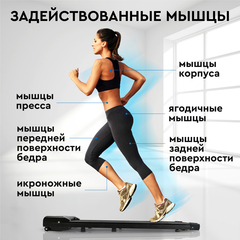 Беговая дорожка Planta TM-150