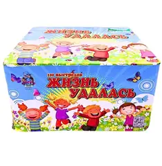 ЖИЗНЬ УДАЛАСЬ