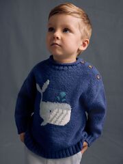 Джемпер для мальчика Next E27-758, Синий