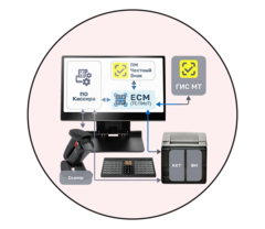 Подключение к ТС ПИоТ