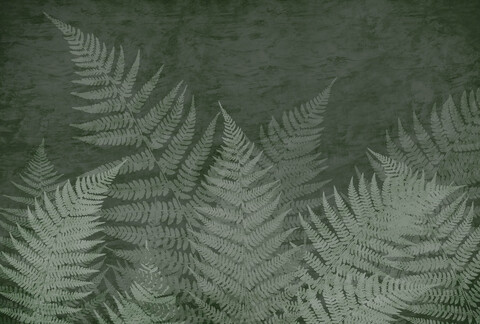 Коллекция SELVA