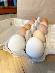 Яйцо куриное 10 шт