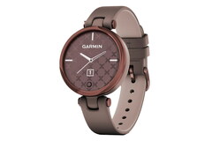 Garmin Lily Classic Dark Bronze-Paloma