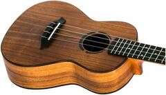 Укулеле концерт FLIGHT JULIANA CONCERT