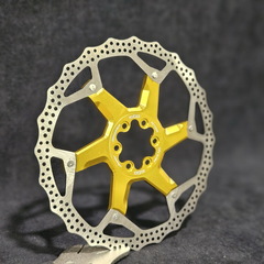 ローマ medium_20240619_184813.jpg