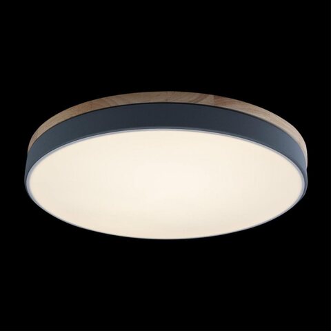 Потолочный светодиодный светильник Loft It Axel 10001/36 Grey