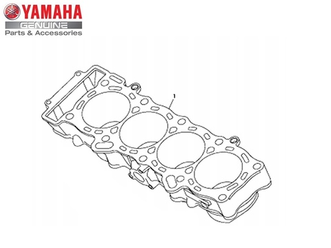 Блок цилиндров Yamaha 2CR113110000