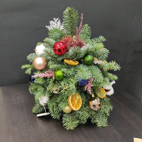 Ёлочка из нобилиса NWY004