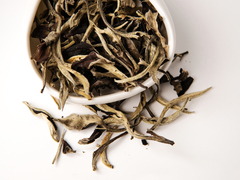 Юэ Гуан Бай "Белый лунный свет", Белый чай