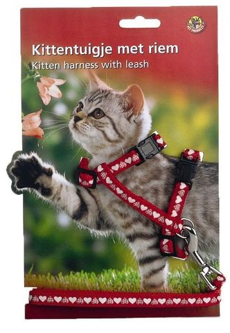 Купить Beeztees Шлейка для кошек красная с сердечками