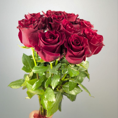 Букет из 11 Роз Эквадор 60