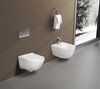 Aquatek SET Aquatek ДИВА-016 4в1 SET Aquatek ДИВА-016 4в1 (рама Aquatek Standard INS-0000012+ кркпеж KKI-0000002+клавиша KDI-0000016+унитаз ДИВА AQ2012-00 с тонким сиденьем soft-close