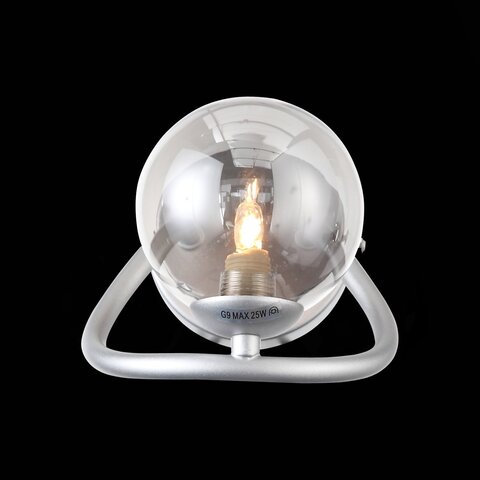Светильник настенный ST Luce Legatezza SL1502.101.01
