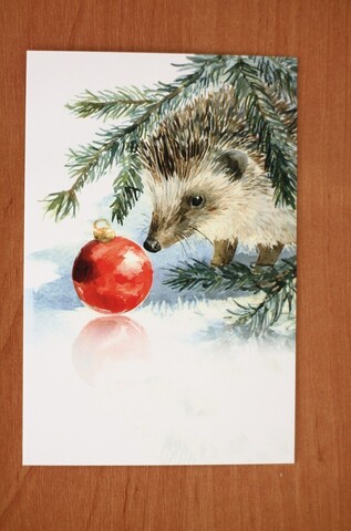 Ежик и новогодний шарик