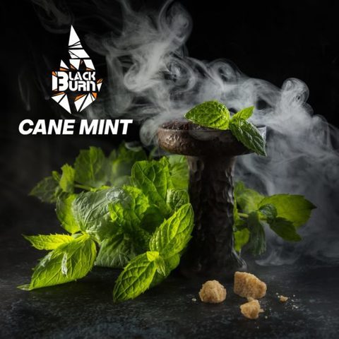 Табак Black Burn Cane Mint (Перечная Мята) 200г