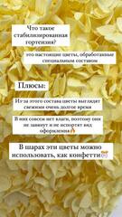 Растение стабилизированное, Гортензия на ветке, Нежно-розовый, 1 шт.