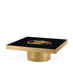 Журнальный столик Coffee Table Villièrs арт.110610