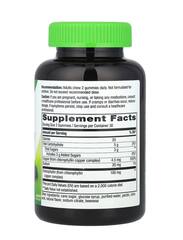Nature's Way Chlorofresh®, жевательные мармеладки, фруктовый сад, 100 мг, 60 жевательных мармеладок (50 мг в каждой жевательной мармеладке)