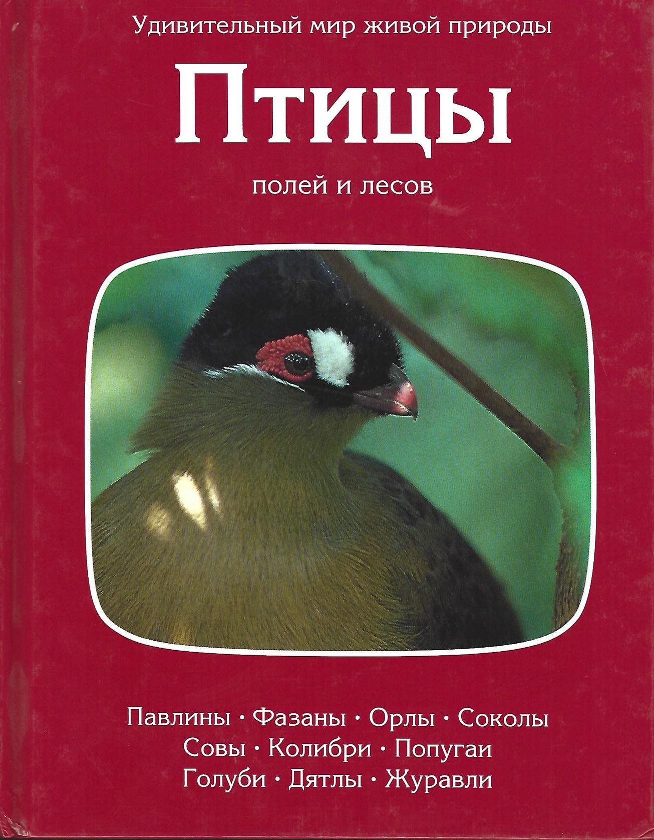 Книга птицы леса