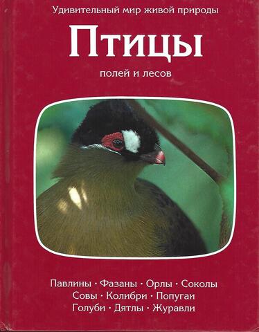 10 необычных водных обитателей, о которых вы не знали