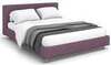 Newtone Plum