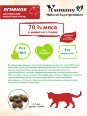 Yummy Linea сухой корм для взрослых кошек (ягненок) 300 гр