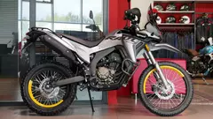 Водж 300 Ралли