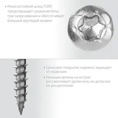 ЗУБР СПК, 45 х 5 мм, TX20, цинк, 180 шт, саморез для перфорированного крепежа, Профессионал (30061-50-45)