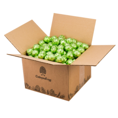 Кедровый грильяж с сосновой шишкой в шоколадной глазури / гофрокороб / 1000 г / Сибирский кедр