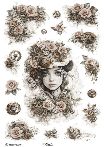 0248 Пленочный трансфер ProArt