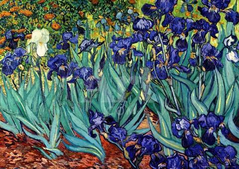 Visconti Van Gogh 2014, Irises (Vs-783/49F)