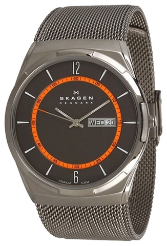Наручные часы Skagen SKW6007 фото