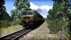 Train Simulator: WSR Diesels Loco Add-On (для ПК, цифровой ключ)