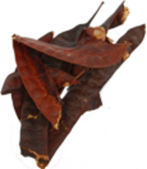 Гледичия (плоды, 50гр.) (Старовлав)