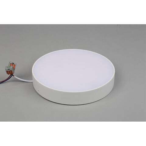 Потолочный светодиодный светильник Aployt Evon APL.0114.09.24