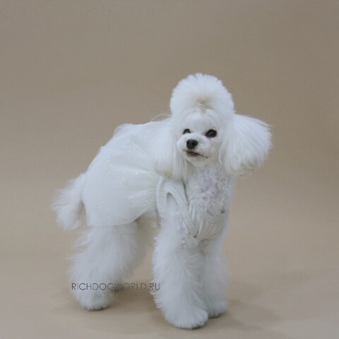 5752 BH Платье-пачка "Shine Tutu"