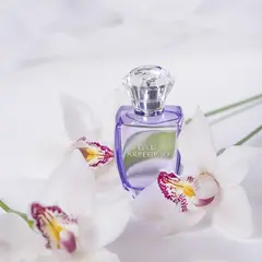 Dilis LA VIE (La Ville) Туалетная вода д/жен ELITE ARPEGGIO (Eclat D'Arpege by Lanvin) (491) 100мл