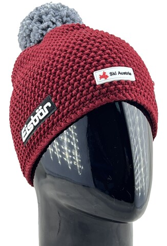 Картинка шапка Eisbar Jamie Pompon SKA 043 - 3
