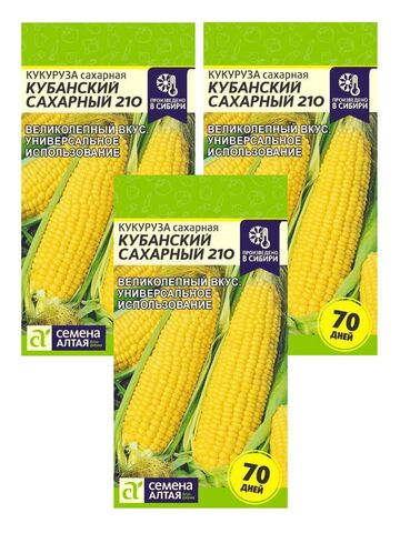 Кукуруза Кубанская сахарная 4г