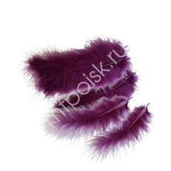 Перья Сливовые, 30 шт.