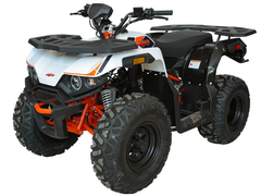 Квадрицикл KAYO AU180 (белый пластик 2024 г.) (ПТС)