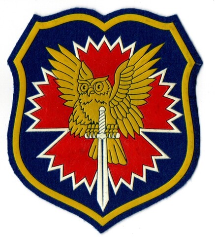 Шеврон Спецназ ГРУ РФ XF