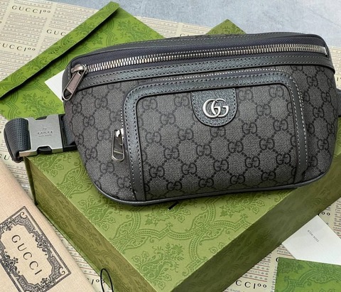 Поясная сумка Gucci Ophidia