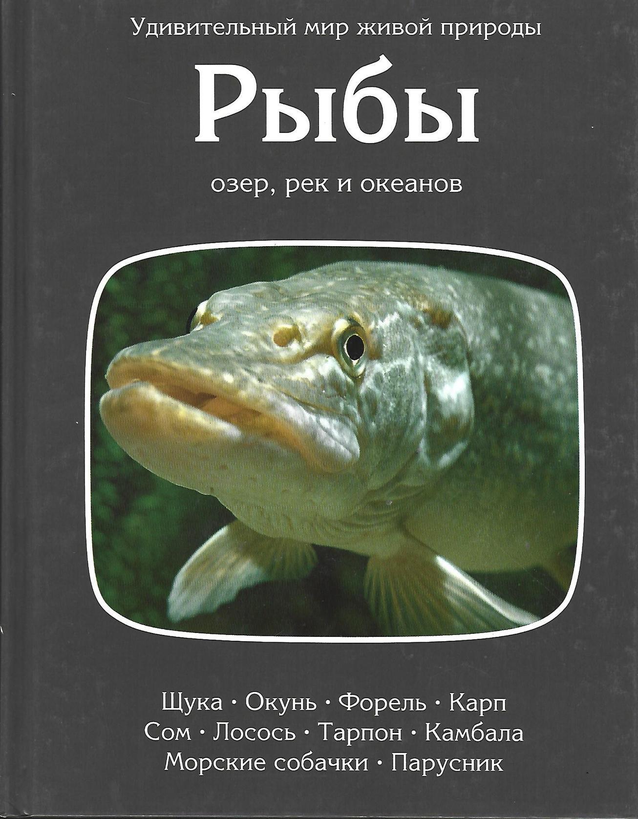 Книги про рыб. Рыбы рек и озер книга. Рыба в озере. Рыба на обложке книги.