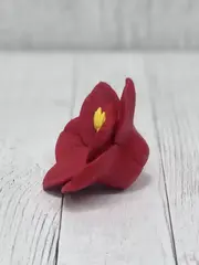 Пищевой молд 